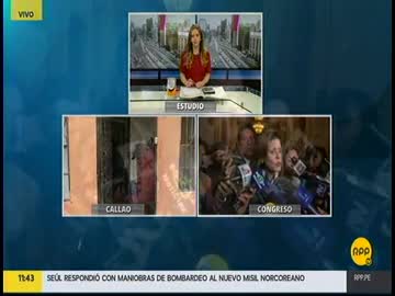 Declaraciones de la congresista Mercedes Aráoz